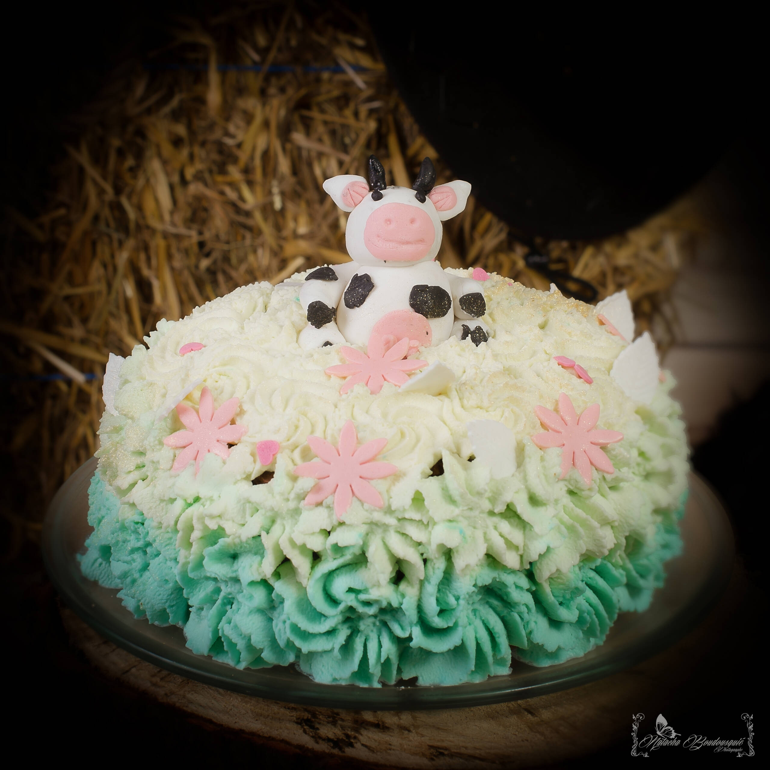 Leo smash cake -005 copie